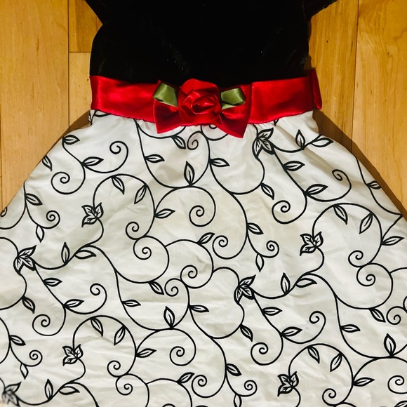 Beautiful Youngland Youth Girls Dress Size 4, holiday family photos, Valentines - Picture 4 of 7